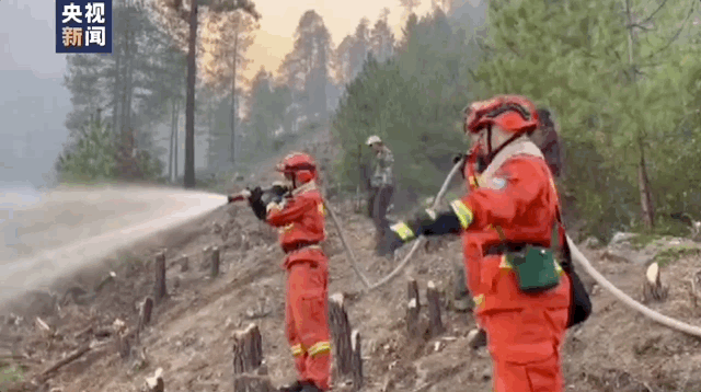西藏林芝发生山火，火势迅猛，正在救援