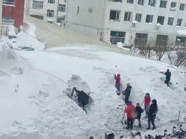 专家称多地大暴雪或引发雪灾