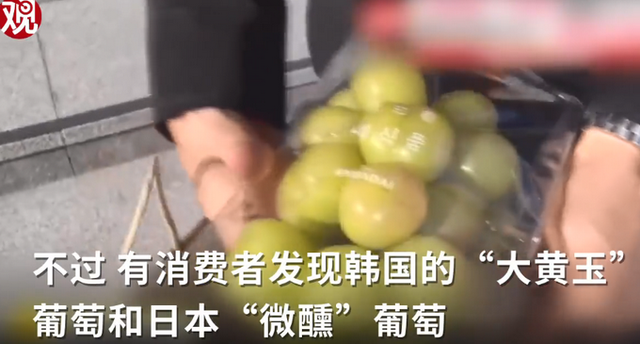 韩国果农偷日本葡萄品种后诡辩