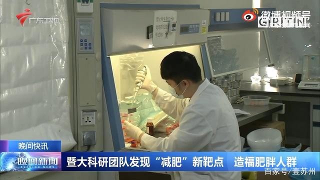 燃烧脂肪靶点被发现