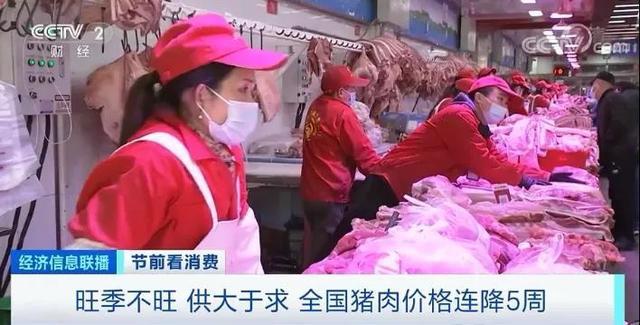 春节来临猪肉价格连降5周 旺季不旺咋回事？