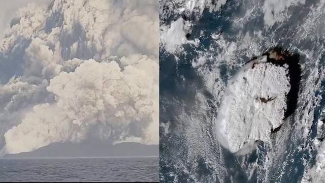 汤加火山喷发致扇贝涌入獐子岛?