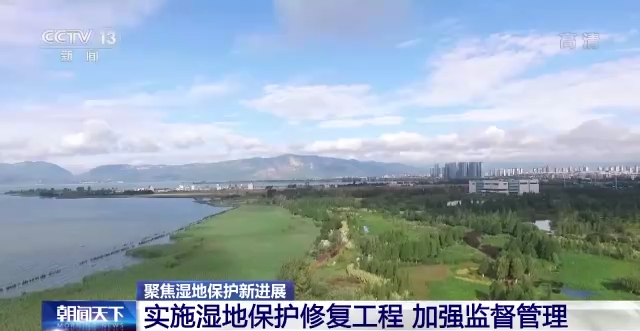 我国64处国际重要湿地保护取得显著成效 湿地调查监测体系初步形成