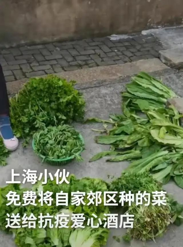 这8个细节，让人忍不住泪目！