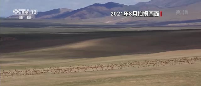 西藏考古发现大量岩画