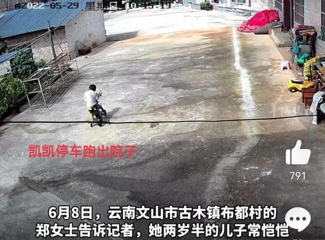 2岁男童与狗院内走失 8天后狗回家 家属悬赏10万寻人