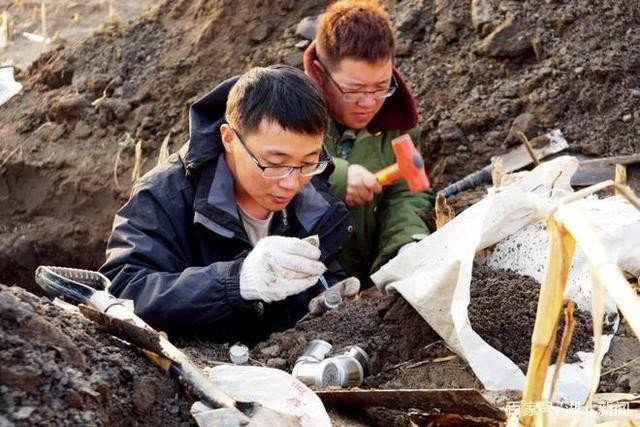 黑土地告急 事关14亿人的饭碗