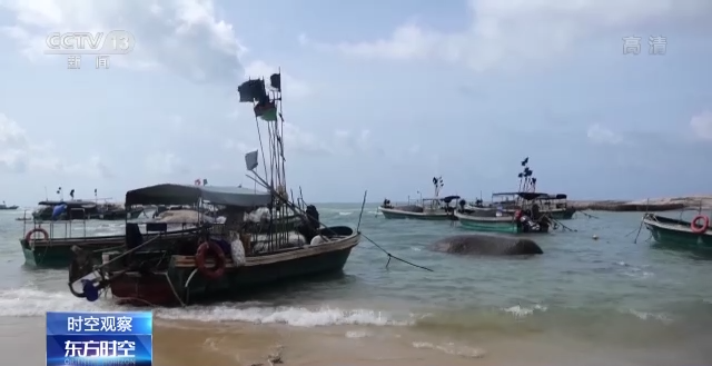 海南龙楼：因航天发射热闹起来的小镇