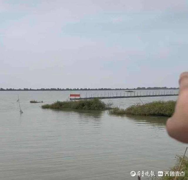 官方回应网红称1800万包下高邮湖：不可能！高邮湖是保护区