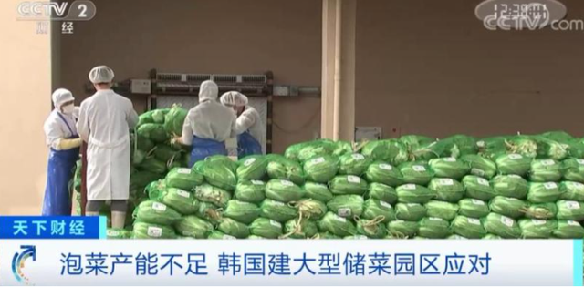 近一半泡菜生产商关闭，韩国人坐不住了，加急建造"白菜银行"