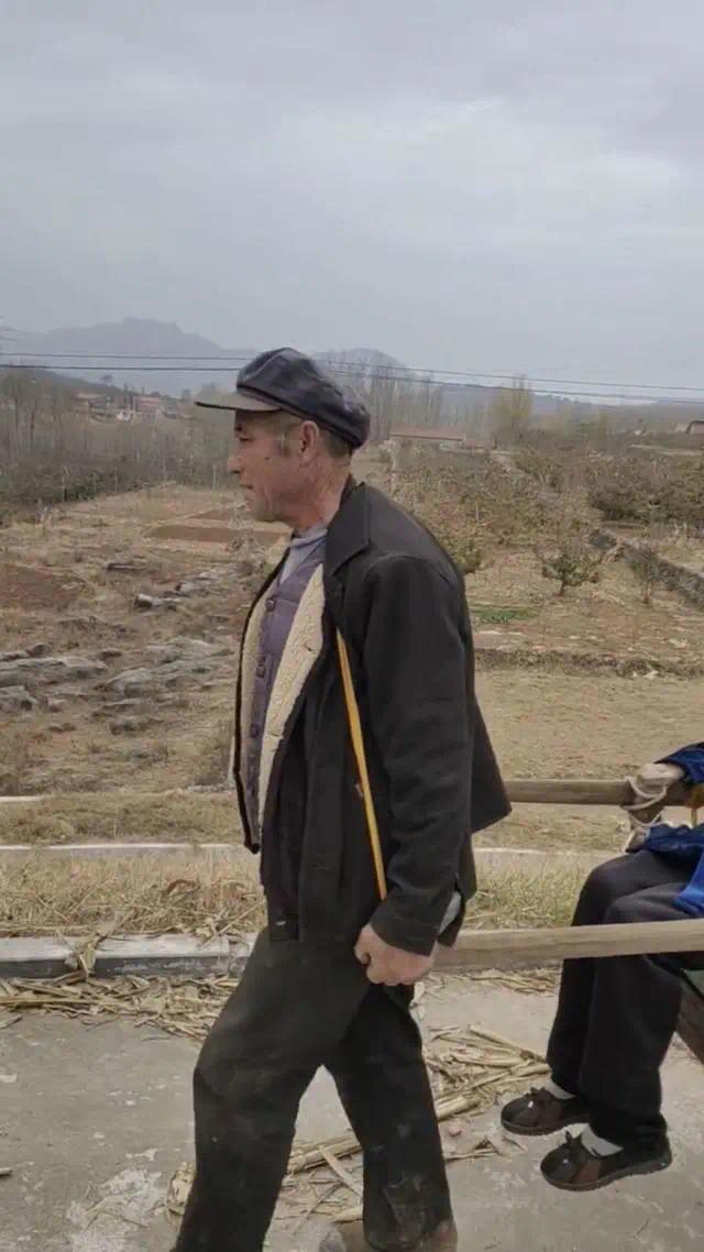 一家人抬轿挑担接百岁母亲到自家住(百岁母亲)