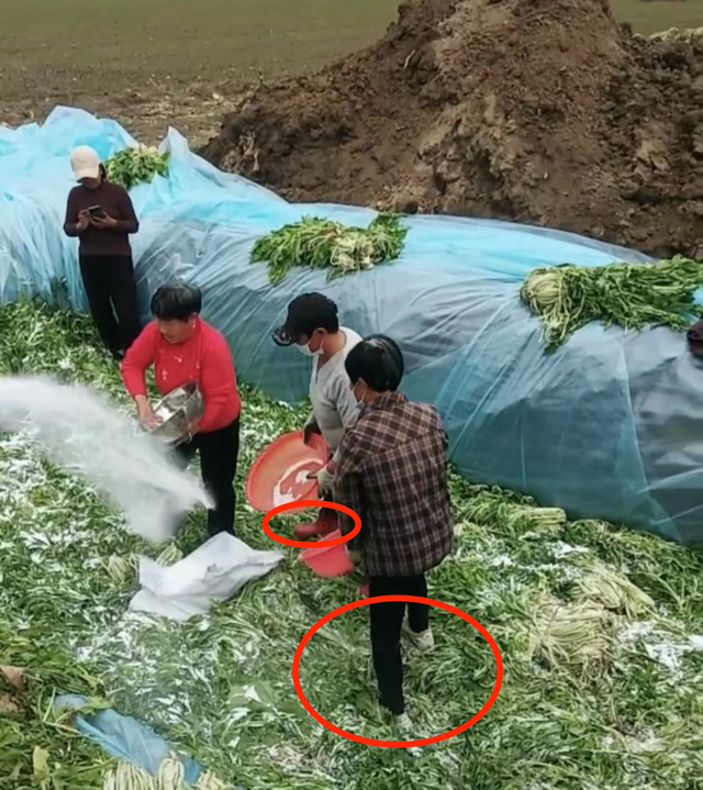 安徽一地村民腌制酸菜时穿鞋踩踏 餐馆店主：腌的多的不敢要