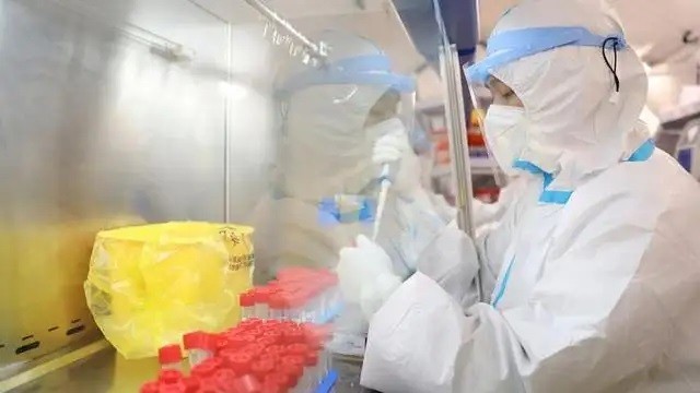 转阴15天后才能产生抗体?专家解读