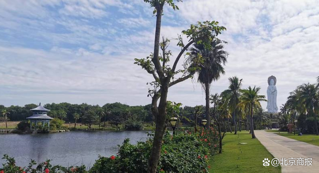 三亚一住客18万的酒店连住1个月 顶级酒店非常抢手