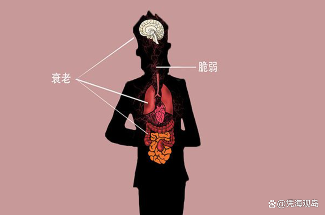 台医：感染新冠3个器官或加速老化，发炎反应会使心脑肾产生血栓