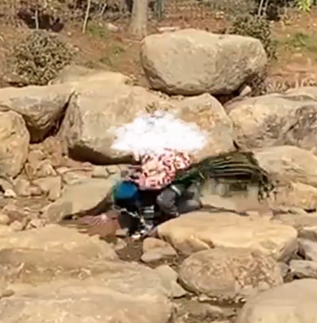 男孩动物园内将孔雀摔打拔毛 管理员来了还想跑，熊孩子到底是谁的过错