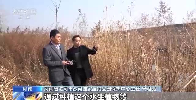 中国湿地保护成绩单来了