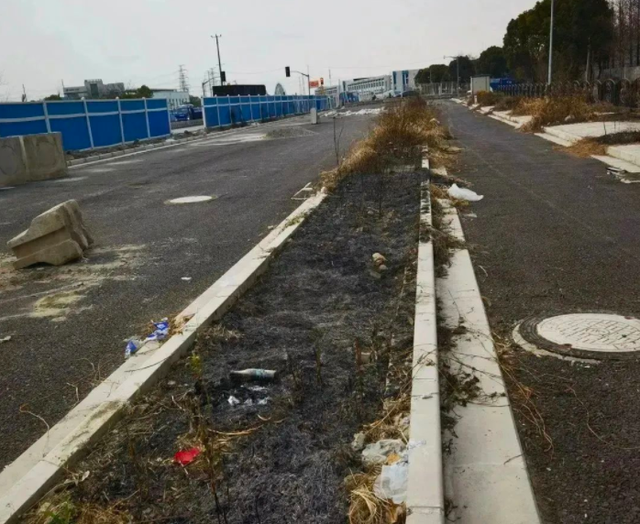 离谱！老人等公交无聊点绿化带取暖被罚款，以为烧柴火呢