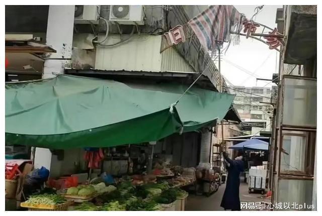 城管制止狂飙拍摄地收费 林家川搞笑回应不是我
