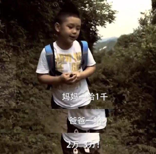 王艳言论引争议自称无欲无求 网友白眼翻上天我要住那我也！