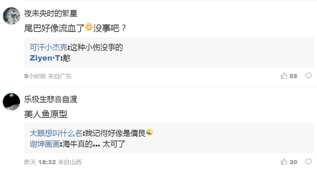 渔民误捕江豚后果断放生 网友纷纷发问这是什么鱼啊这么漂亮！