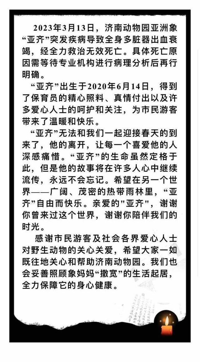 亚洲象亚齐突发疾病死亡 济南动物园：去年满2岁