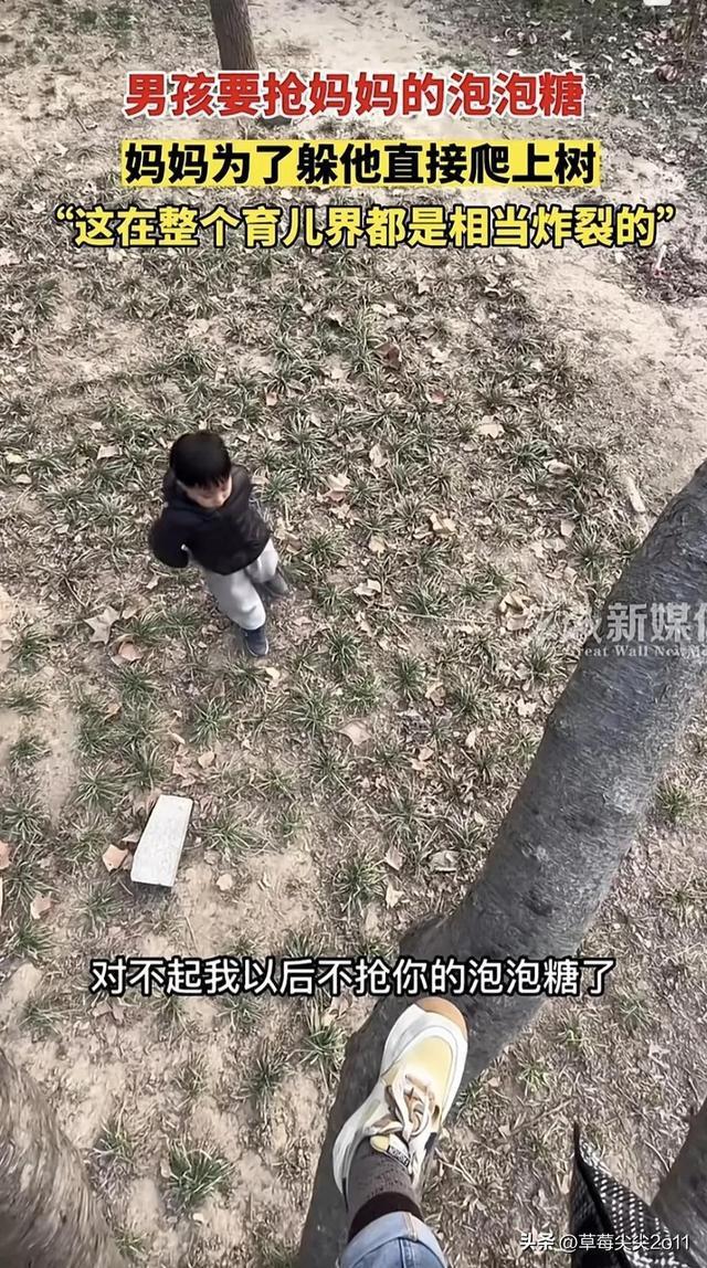 母亲为躲儿子抢糖爬上树 孩子在树下喊：妈妈，对不起