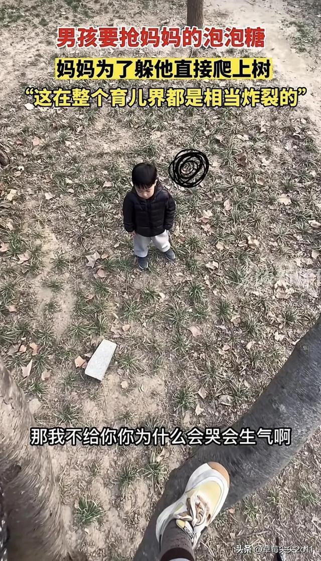 母亲为躲儿子抢糖爬上树 孩子在树下喊：妈妈，对不起