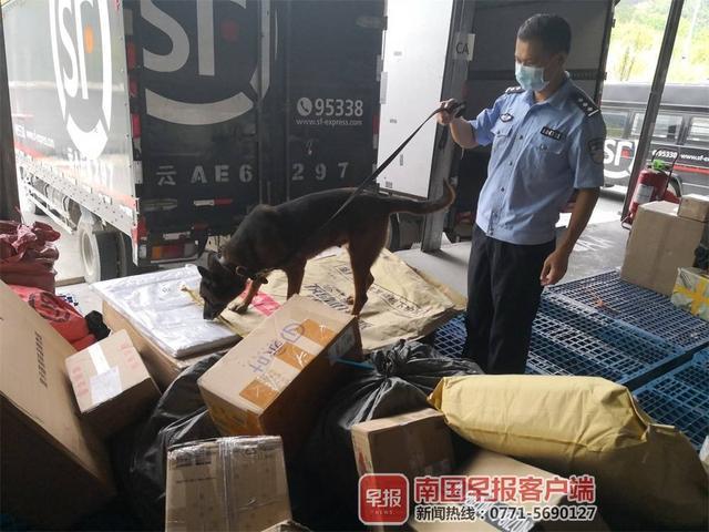 功勋警犬寻味追踪 木炭中嗅出走私货物 堪称“劳模”！