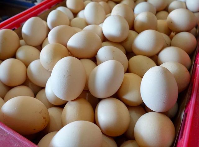 高雄80家早餐店准备停售蛋类食品 蛋商恶意哄抬蛋价