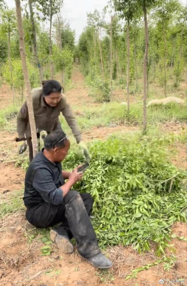 求水林场主:曾坐奔驰宝马现坐三轮 防风治沙是无底洞