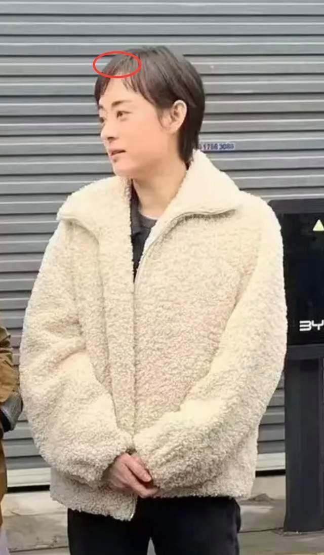 孙俪拍新戏造型遭吐槽养生过度 没有清纯感只有假面感