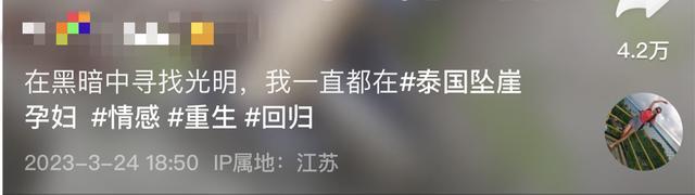 泰国坠崖女子王暖暖现状：轮椅坐了3年 想办法让前夫“坐牢更久一些”