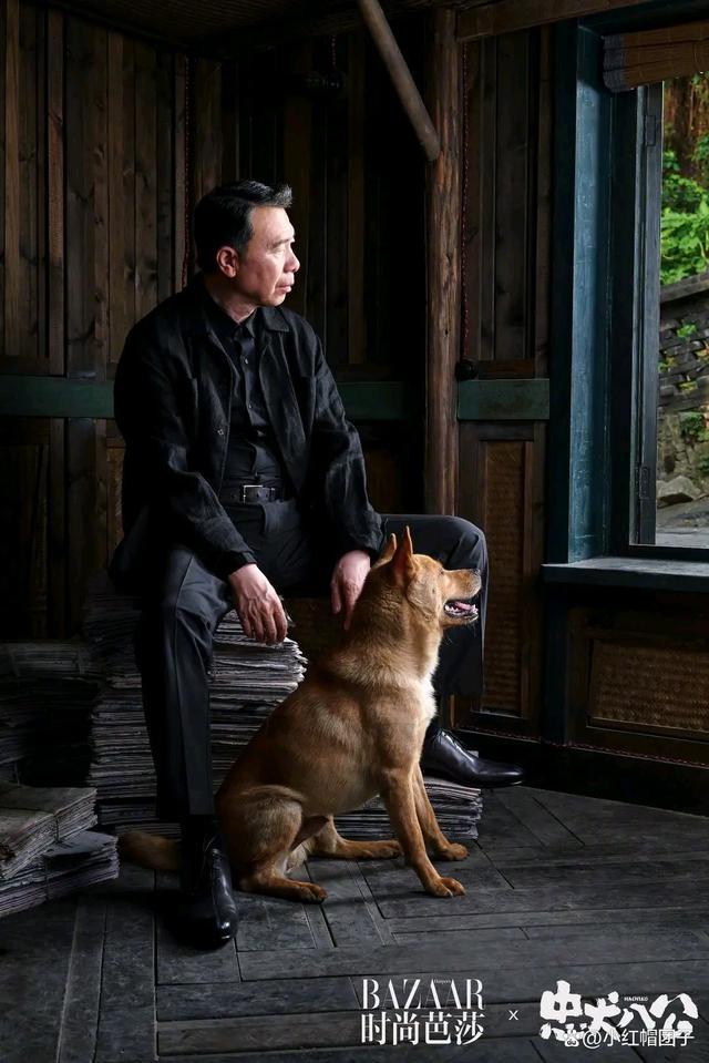 陈冲携冯小刚登时尚芭莎 还带着中华田园犬“八筒”