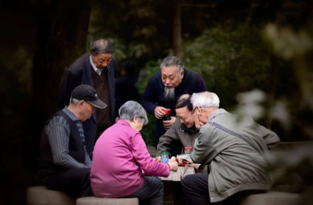 事关养老金调整幅度，财政部最新数据给出答案！涨120元很难？