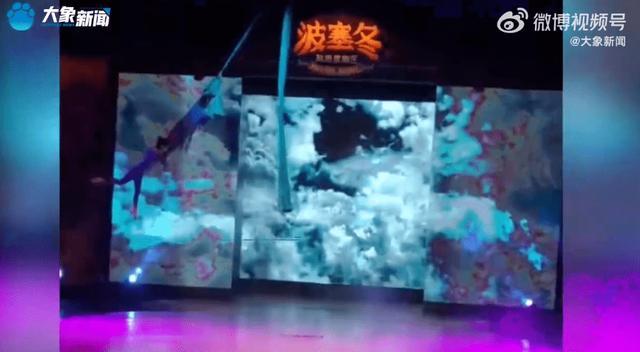 哈尔滨2名杂技演员高空坠落 涉事公司：伤情平稳，已暂停该表演项目