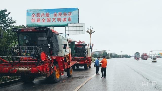 小麦因下雨发芽 农户哭诉损失惨重 收割机无法下高速