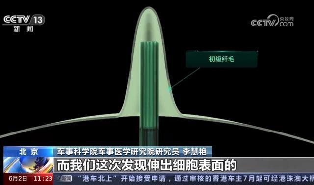 我国发现生物钟紊乱原理 周末睡不着、工作日睡不醒的你我“有救了”