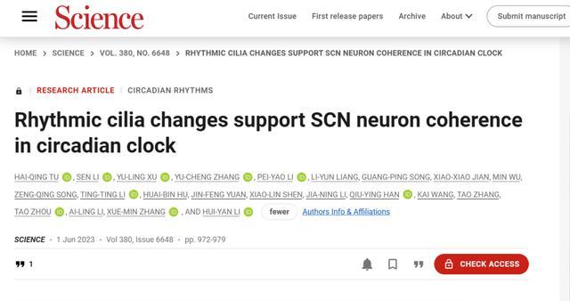 我国发现生物钟紊乱原理 周末睡不着、工作日睡不醒的你我“有救了”