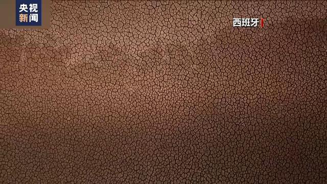 印度遭高温极端“烤验” 34人因高温死亡学校关闭