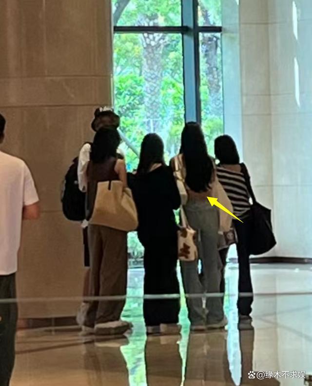 小S拖家带口现身厦门酒店，一行9人显得格外显眼