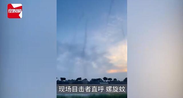 成都一草坪惊现“蚊卷风”，专家：蚊子大规模交配