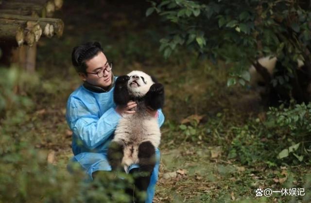 网红大熊猫饲养员发箍奶爸被曝睡粉出轨，引发社会广泛讨论
