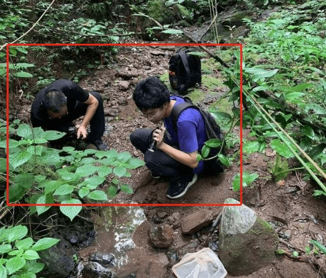 17岁男孩发现新物种 登上国际周刊 为我国生物多样性的研究和保护工作注入了新的动力