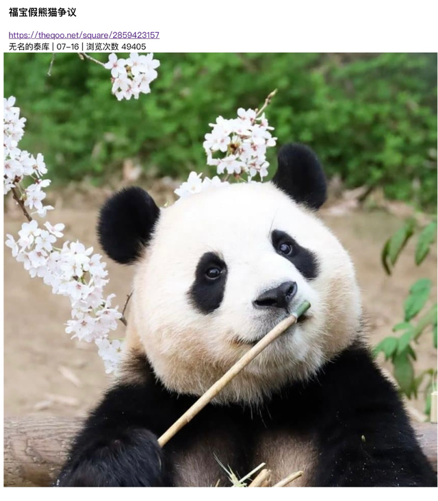 韩网友谈福宝熊设崩塌：前后两幅面孔，熊品堪忧