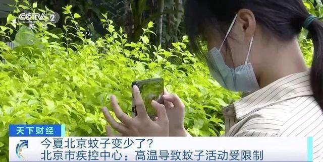 为何感觉今年蚊子变少了 疾控中心：高温致蚊虫活动减少