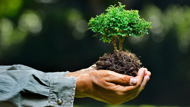 2023年的主题旨在强调林业和植树在创建可持续社区方面的重要作用