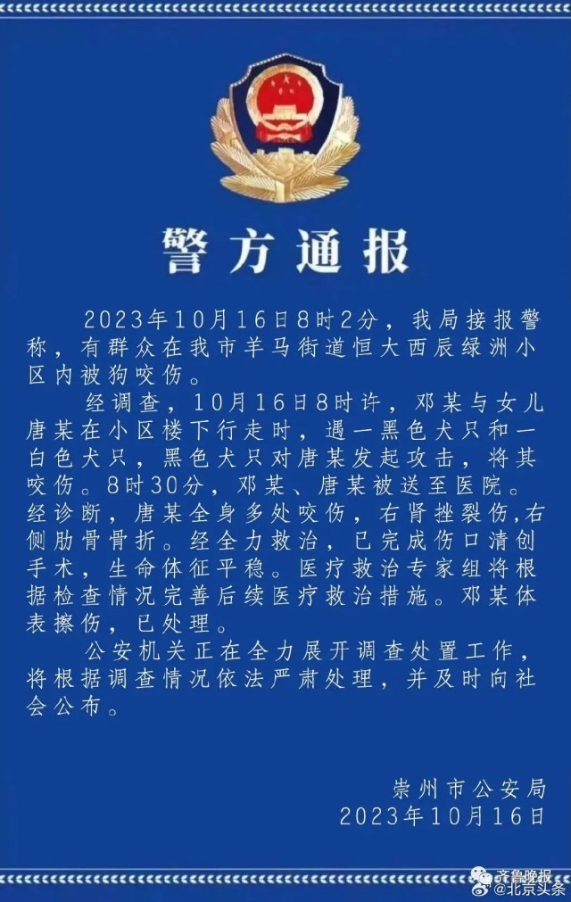 网曝四川成都一小区，一幼儿被未拴绳大狗撕咬 警方通报