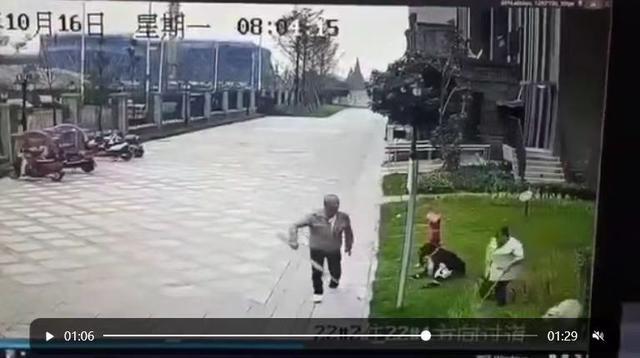 女孩遭烈犬撕咬，父亲：已委托律师维权，想先解决治疗费