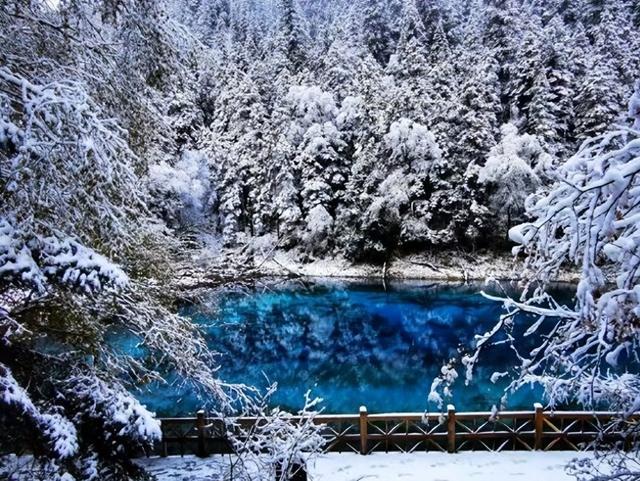 九寨沟下雪了 强度最强冷空气影响我国 带来一片如同童话般的仙境